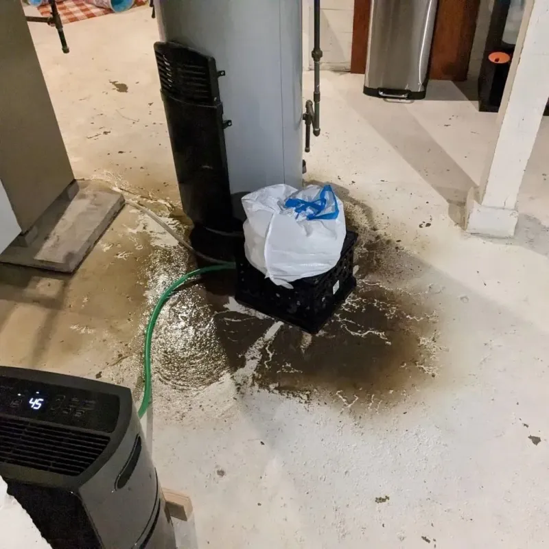 Sewage Backup Cleanup Service in West Tawakoni, TX